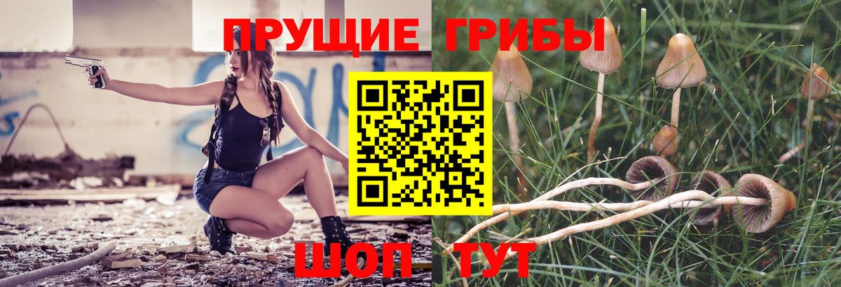 Псилоцибиновые грибы Cubensis  Вход с VPN  Галлюциногенные грибы Magic Shrooms  Шахты 